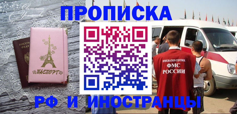 прописка поиск в Курчалом